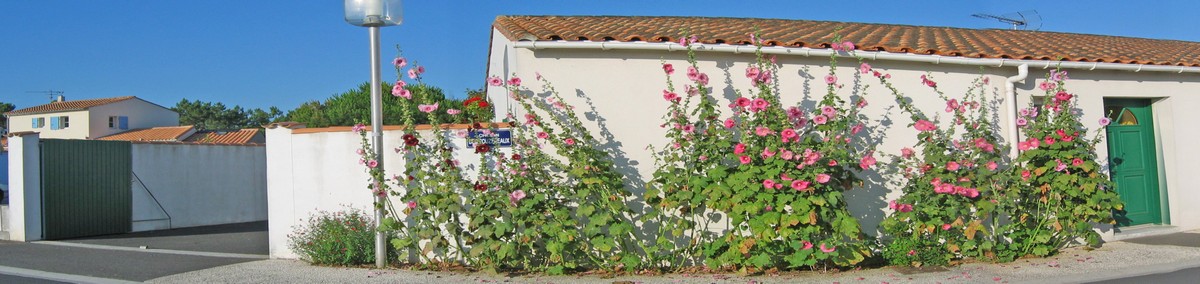laflotte-2.jpg